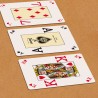 Fournier POKER VISION 100% Plastic Poker