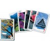 FOUR SEASONS IN JAPAN, 55 cartas