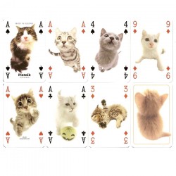 HANADEKA GATOS, 55 cartas