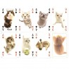 HANADEKA GATOS, 55 cartas