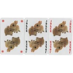 HANADEKA GATOS, 55 cartas